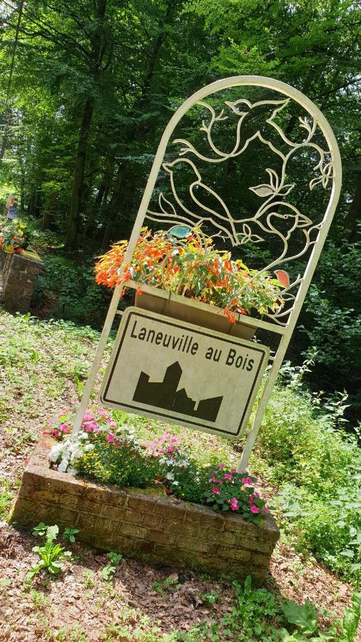 Le Prangeleux Bed & Breakfast Tenneville Exterior photo